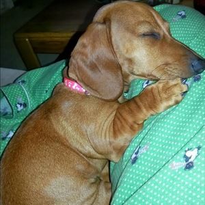 Meet your Posher, Kristina